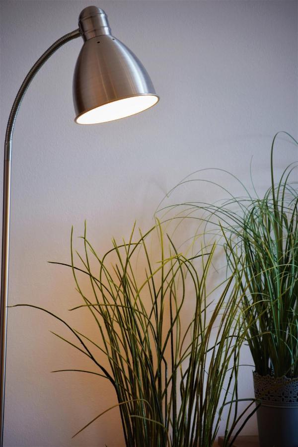 Cosy Apartment In Budapest Downtown With Free Garage Parking Buitenkant foto